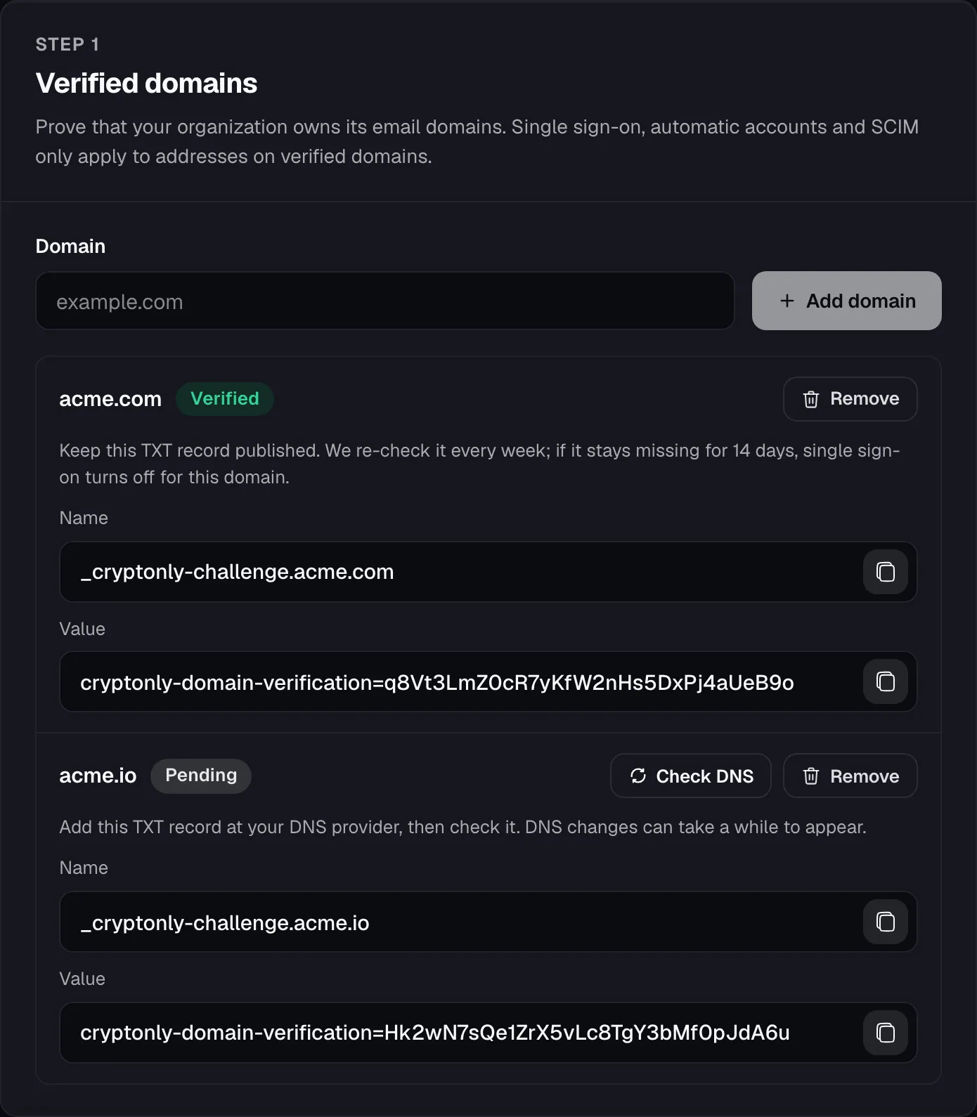 Verified domains card: acme.com is verified, acme.io is pending with its TXT record name and value.