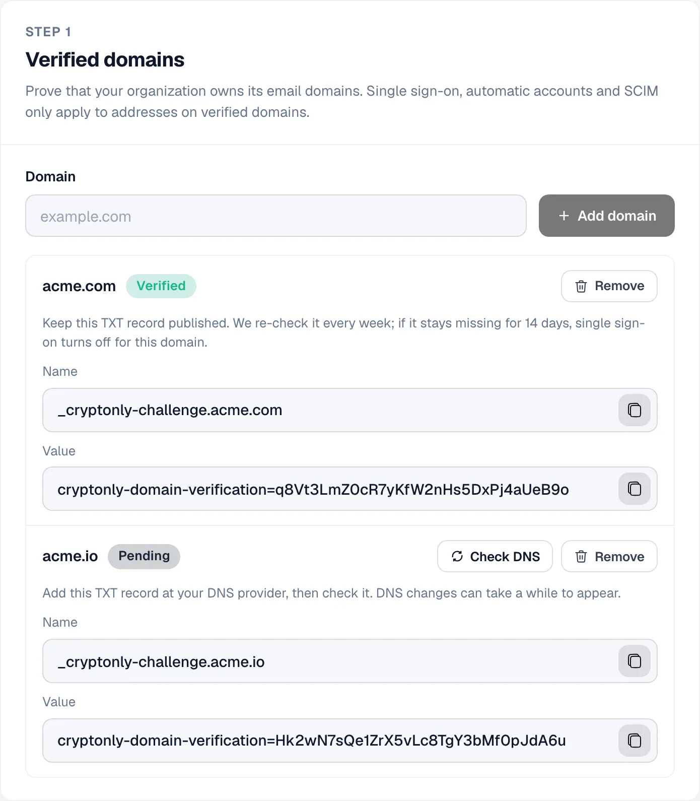 Verified domains card: acme.com is verified, acme.io is pending with its TXT record name and value.